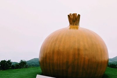 🧅 거대 양파 조형물(오타마네기) 이미지 2